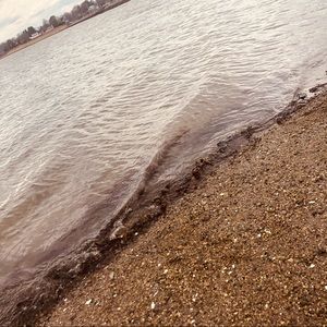 Meet your Posher, Adelaide